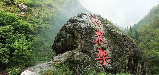 探秘在爱情里 你会有多少遗憾,解答你的疑惑
